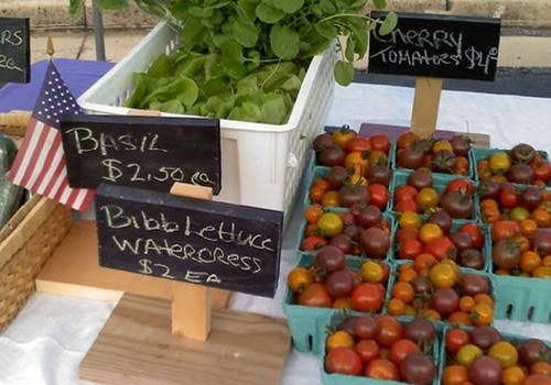 farmers-markets-daily-life-2022-NSV-thumbnail